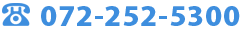072-252-5300